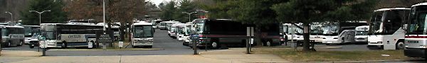 Field of Buses at the National Shrine in Washington, DC (17k image)
